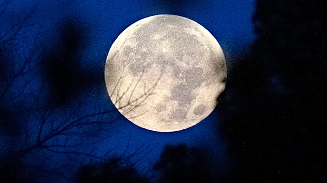Fall is looking up. Harvest Moon is set to peak today