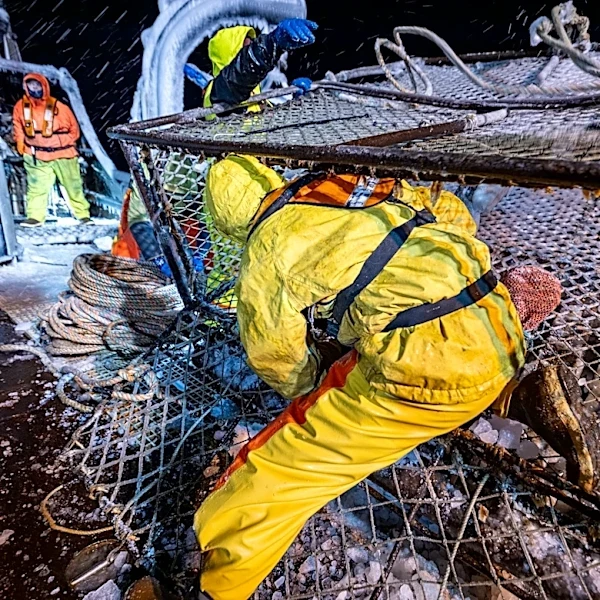 Todd Meadows' death chronicled in harrowing 'Deadliest Catch' episode