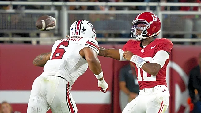 South Carolina's Dylan Stewart punches Alabama player, isn't ejected