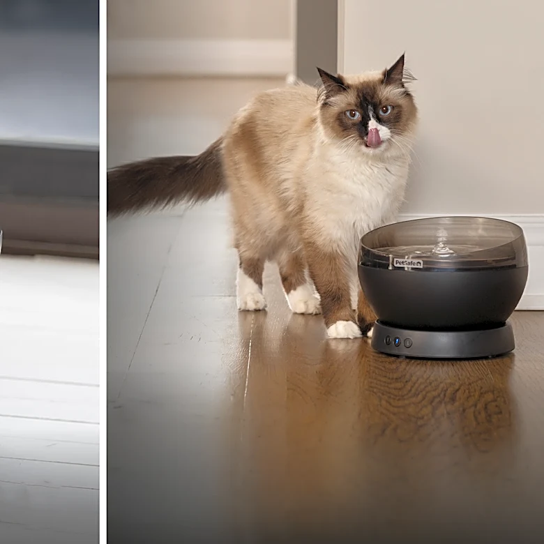 PetSafe's cordless pet fountain makes hydration easier anywhere