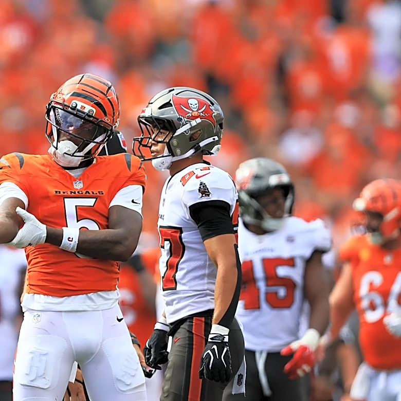 Tee Higgins makes pretty TD catch