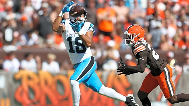 Jalen Coker snags two balls in Week 3 before exiting with injury