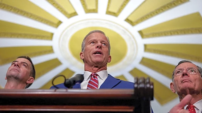 Gas prices are brutal. Giving Democrats Congress would be worse | Opinion
