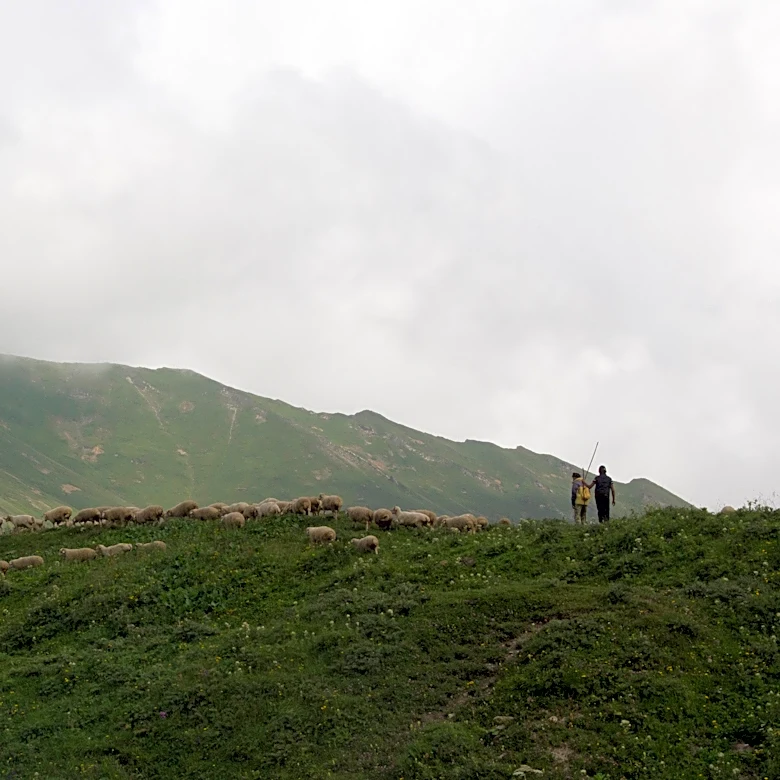 Want to be a digital nomad? The countries where it's easiest, hardest