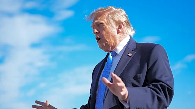 Trump's ad campaign is pure propaganda. You're paying for it | Opinion