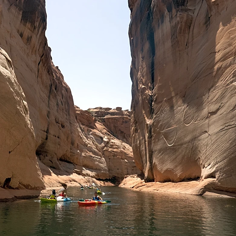 TripAdvisor said the best thing to do in the US is found in Vegas (sort of)