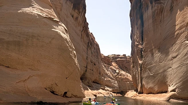 TripAdvisor said the best thing to do in the US is found in Vegas (sort of)