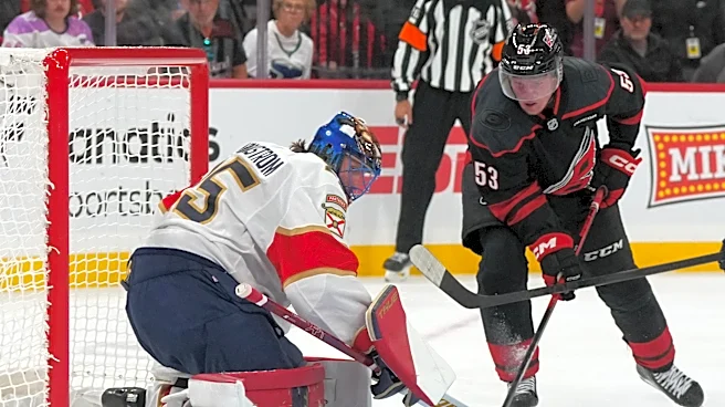 NHL winners and losers include Panthers goalie, Maple Leafs newcomers