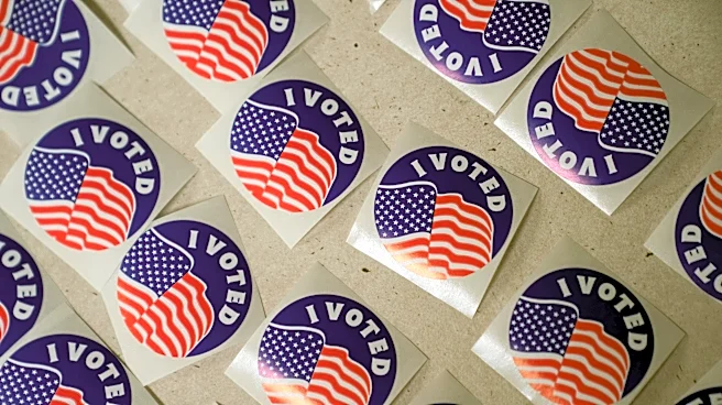 Will you be able to vote? Texas deadline is days away, so check now
