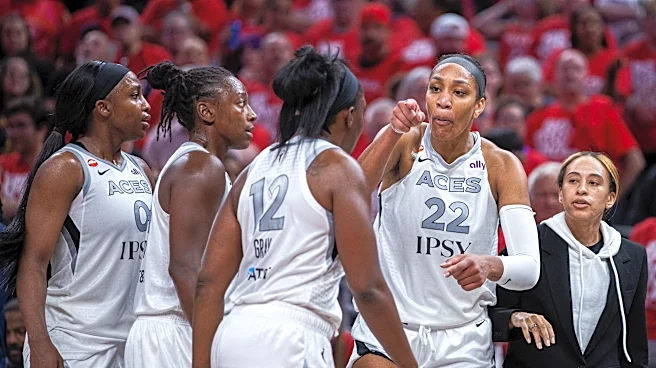 Las Vegas Aces A'ja Wilson will not be punished by WNBA for altercation with fan