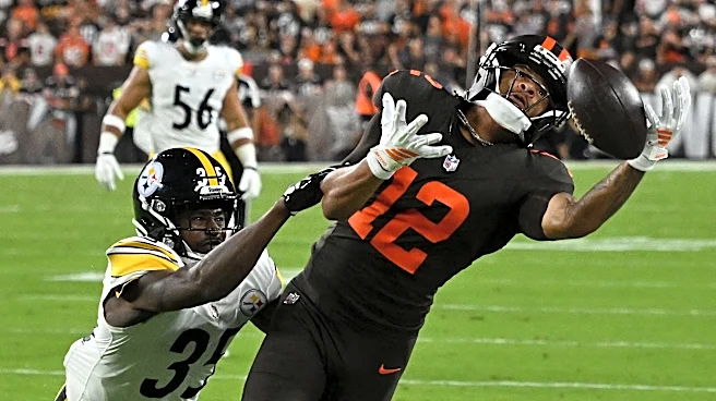 Denzel Boston leads Browns in receiving