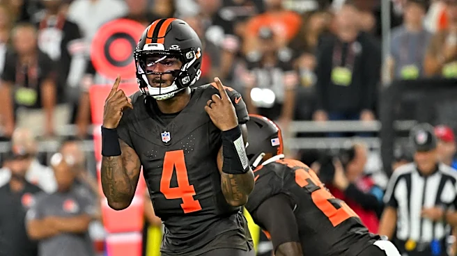 Deshaun Watson solid in divisional win