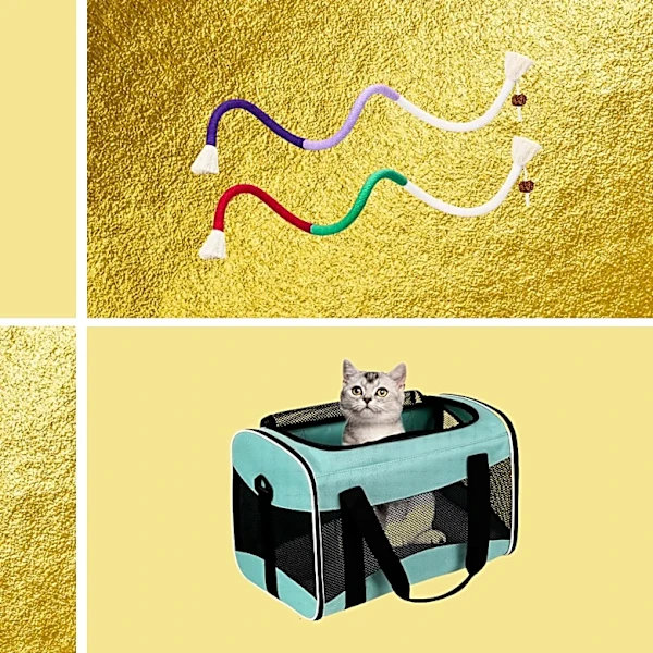 I'm a cat owner. These are the 10 Amazon Prime pet deals I'd buy first