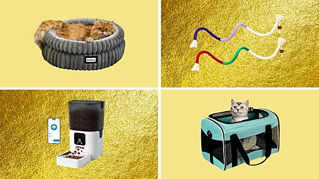 I'm a cat owner. These are the 10 Amazon Prime pet deals I'd buy first