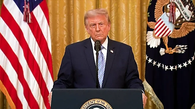 Trump claims of foreign meddling stir fears of federal election intervention