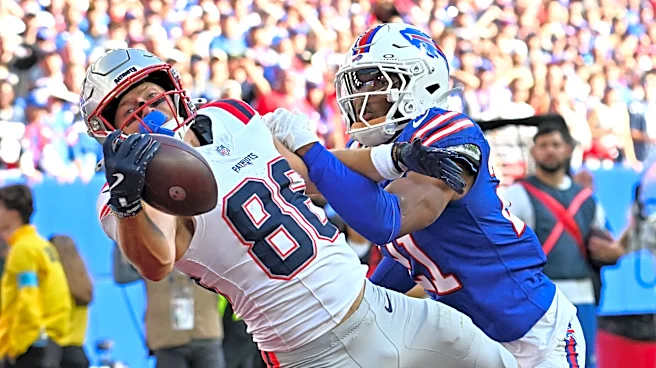 Mike Vrabel replies to Bills player who dismissed Patriots WR's incredible catch