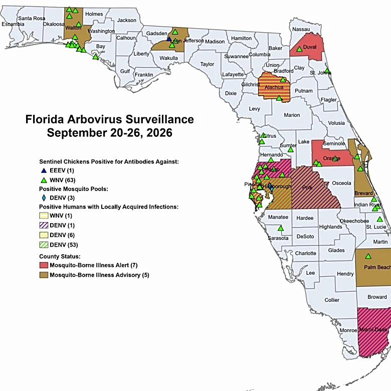 Florida's 252 locally acquired dengue cases across these 7 counties