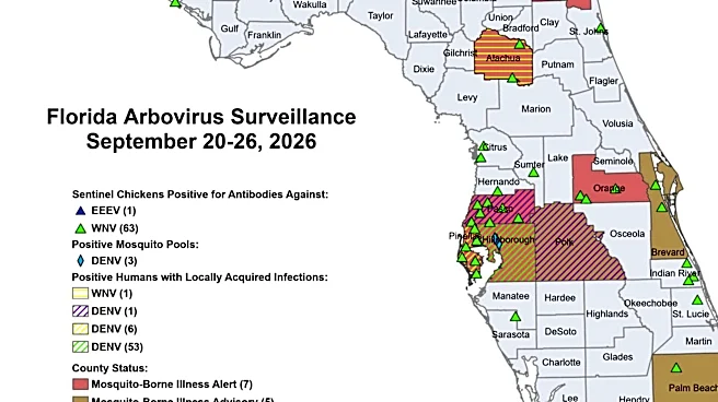 Florida's 252 locally acquired dengue cases across these 7 counties