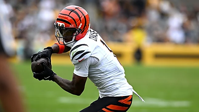 Ja'Marr Chase in concussion protocol