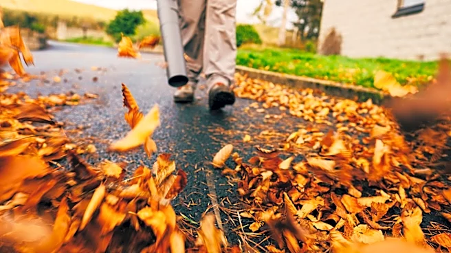We found the best leaf blower deals: The Home Depot vs Amazon