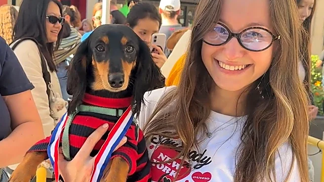 Wiener dog races draw huge crowd at Pittsburgh Oktoberfest