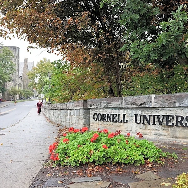 Wave of student activism spreads at Cornell after rape allegations