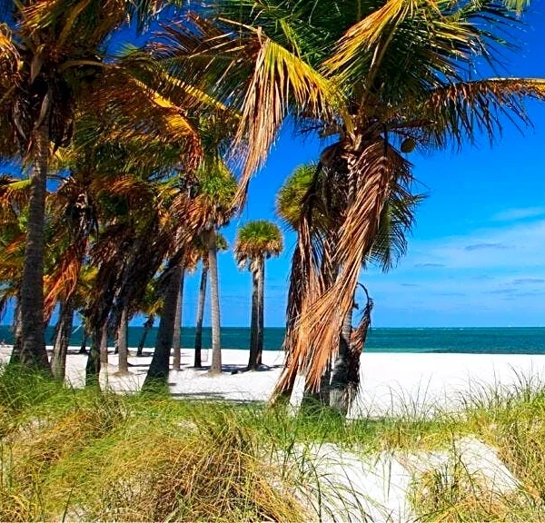 Beach advisory issued in Miami-Dade for elevated bacteria levels