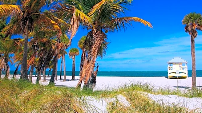 Beach advisory issued in Miami-Dade for elevated bacteria levels