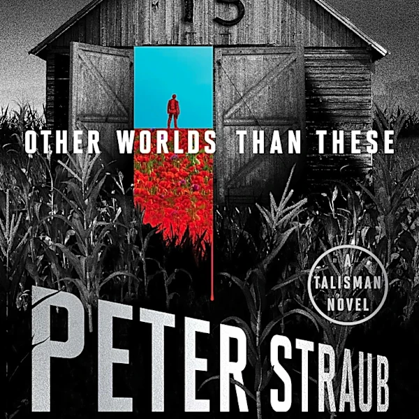 Stephen King finishes two beloved fantasy series in latest book – 'A big relief'