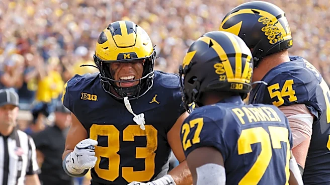 Michigan TE Zack Marshall apologizes for leaked texts bashing Wolverines' offense