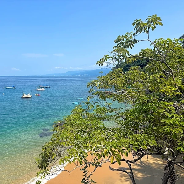Is Puerto Vallarta safe to visit now? What travelers should know