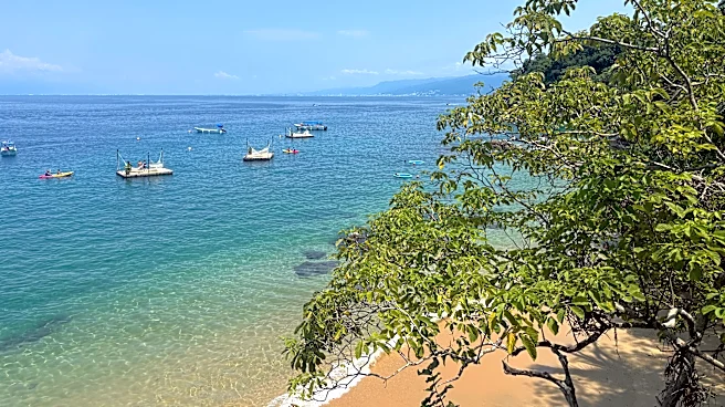 Is Puerto Vallarta safe to visit now? What travelers should know