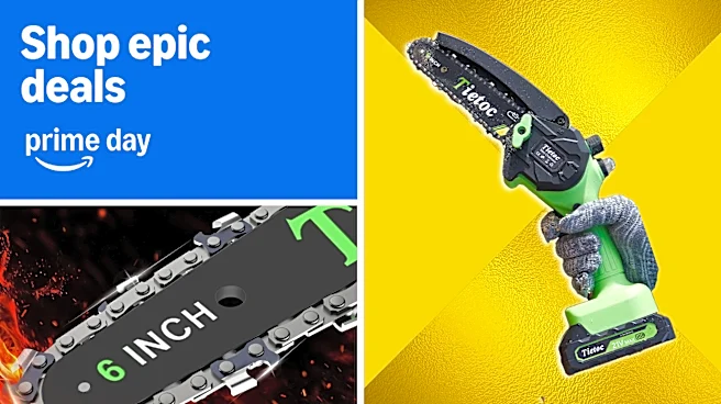 I love my mini chainsaw, and it is under $30 for Prime Day right now