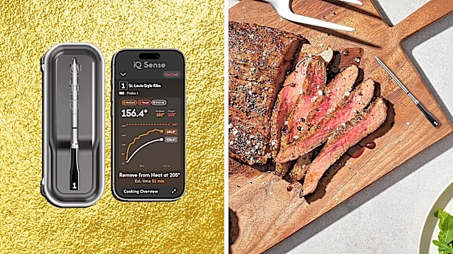 My dad swears by this smart meat thermometer. Save 51% tonight only