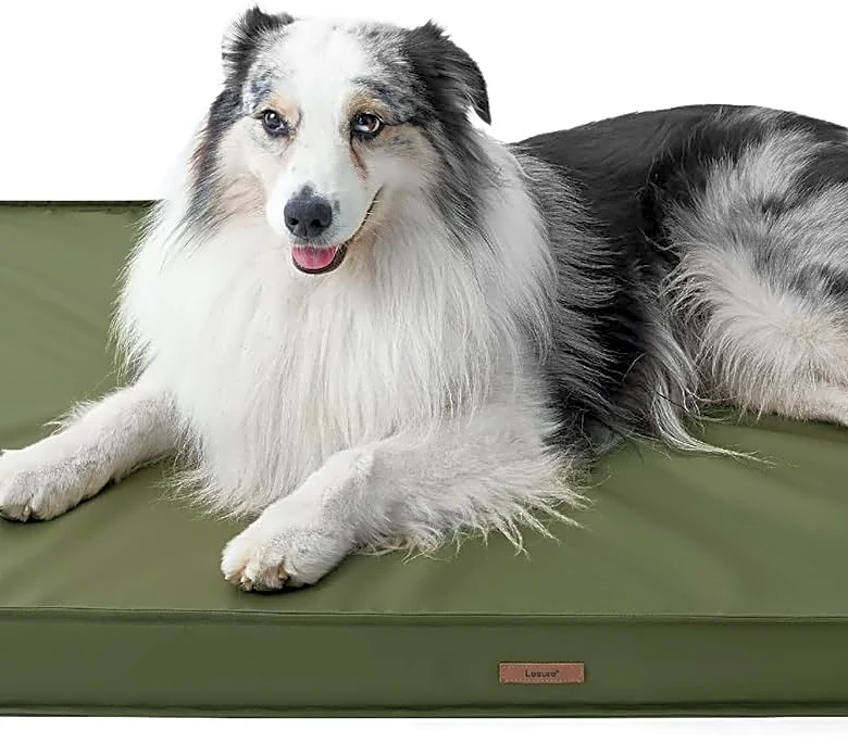 Fido deserves a Prime Day surprise too, and this LE SURE dog bed is the one I'd buy