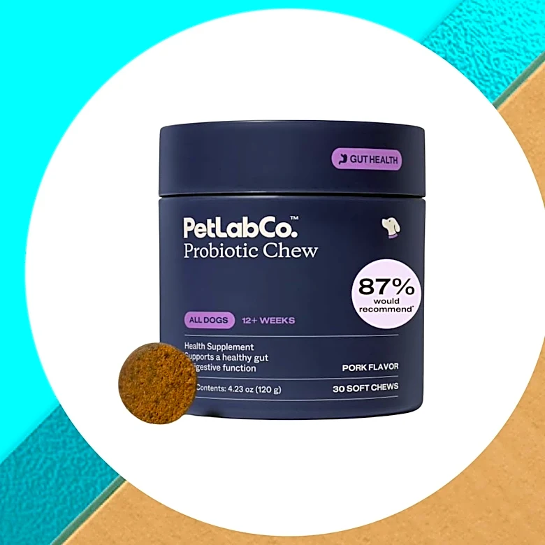 My corgi would definitely approve of this Prime Day dog deal