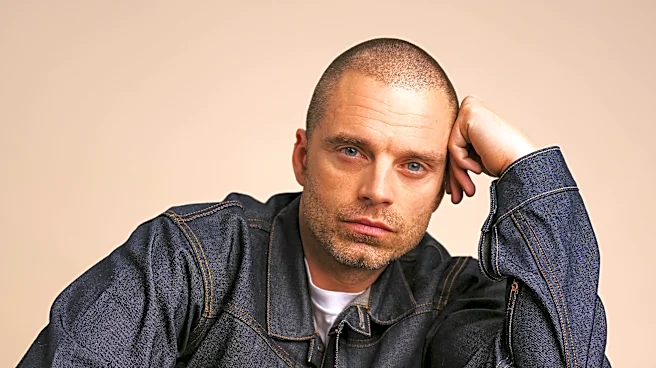 Sebastian Stan knows 'Fjord' is 'divisive.' He wants to talk about it.