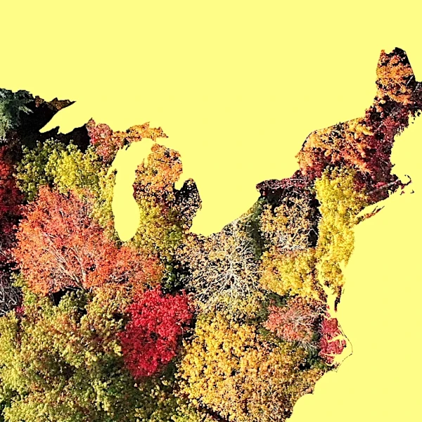 Fall foliage map shows when autumn colors will reach their peak