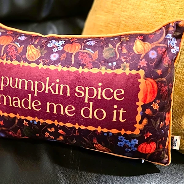 I’m obsessed with this cozy pumpkin spice statement pillow
