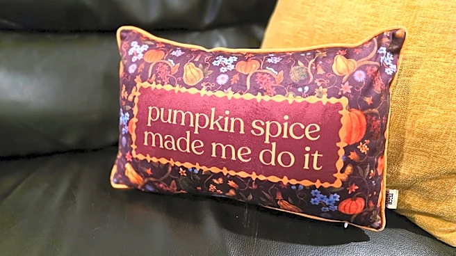 I’m obsessed with this cozy pumpkin spice statement pillow