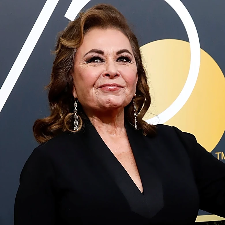 Roseanne Barr secretly films new show 'Meemaw,' 8 years after ABC firing