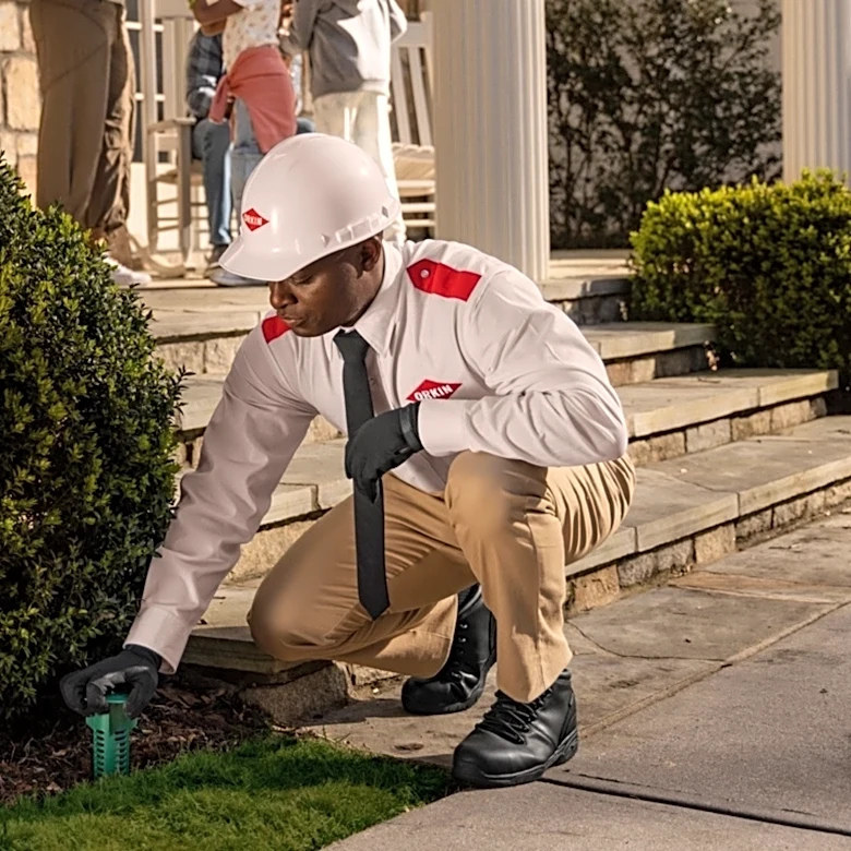 Why fall pest prevention from Orkin is an obvious choice for homeowners