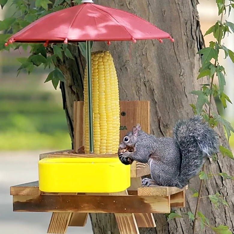 Grab this viral squirrel picnic table feeder for only $21.99 at Amazon