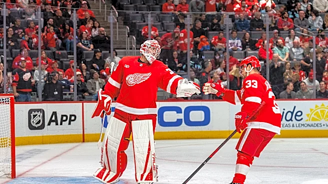John Gibson pulled in second period for Red Wings after allowing 5 goals on 15 shots
