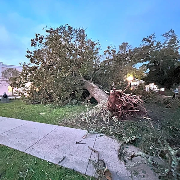 Isaias weakening after lashing Gulf Coast as a Category 2 hurricane