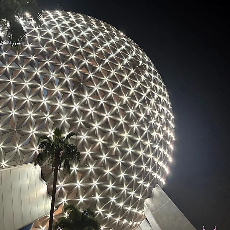 Viral video shows man jump into water on Disney World boat ride