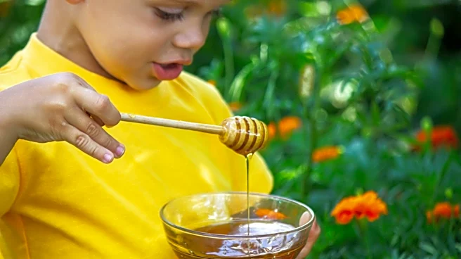 Think honey is healthier than sugar? What to know