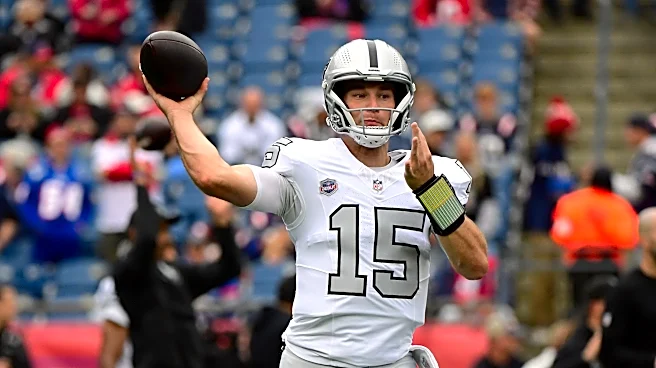How Heisman winner, Raiders' No. 1 pick Fernando Mendoza fared in NFL debut