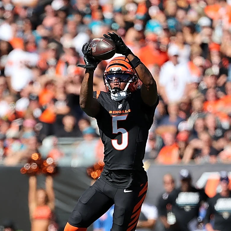 Tee Higgins good for just two catches