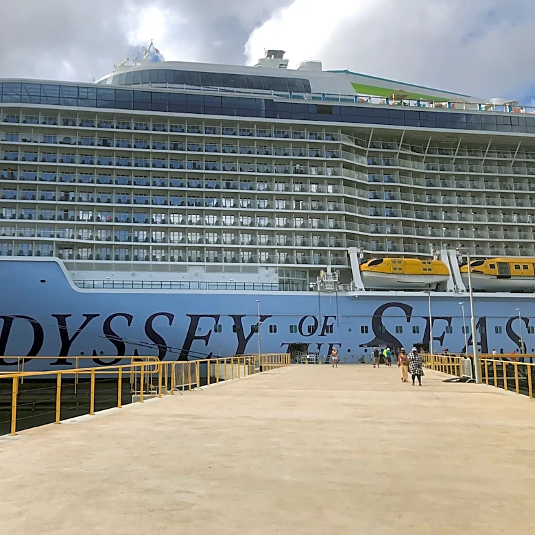 Royal Caribbean cruise passenger rescued after going overboard